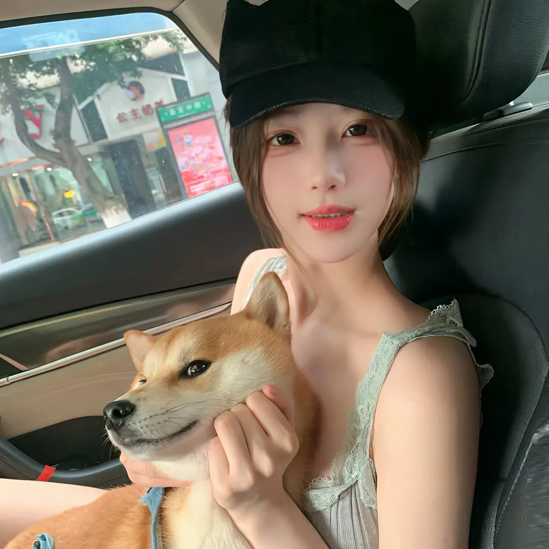 龙侠虎盗